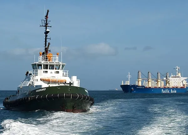 Tug escorting a cargo ship into port