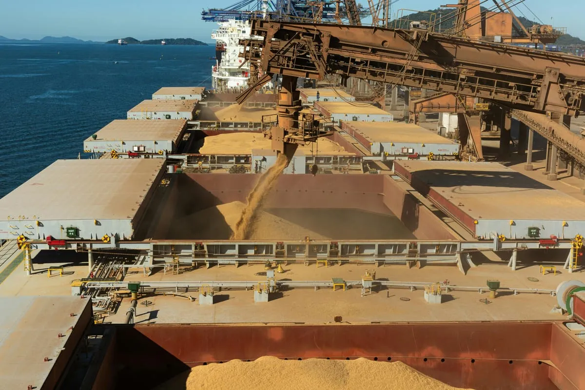 Open cargo holds of a bulk carrier being loaded