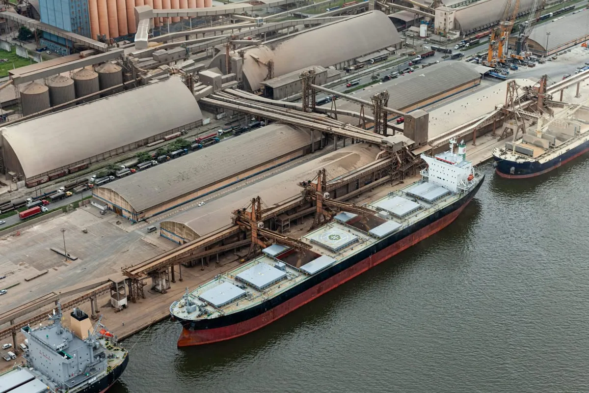Aerial view of bulk carriers berthed at a grain terminal